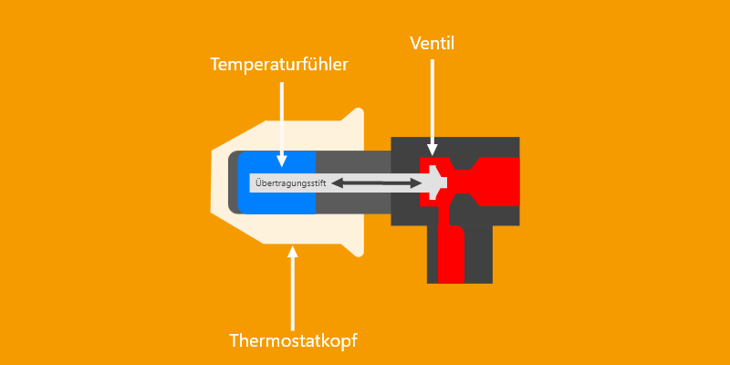 Die Grafik zeigt die einzelnen Bestandteile eines Thermostats an einer Heizung, die man benötigt, um die Temperatur einzustellen. 